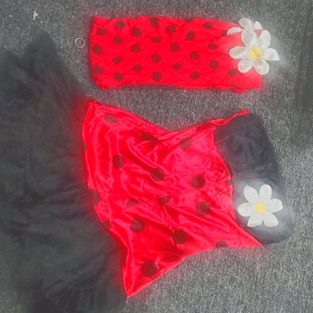 Lady bug costume small with thigh highs